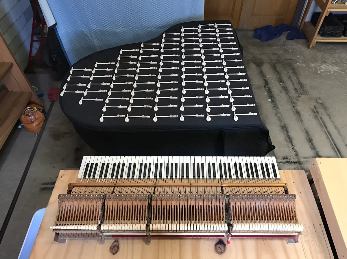 Hammers being replaced in the shop by Tom Lepinski on a Steinway grand.